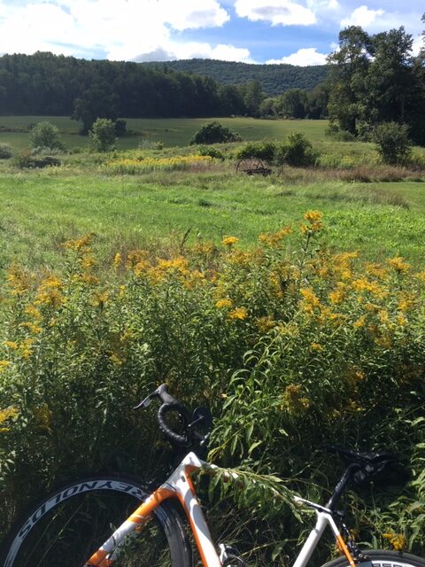 HAPPY BIRTHDAY! - Younger Next Year